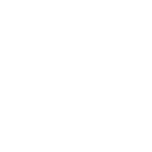 Ankama Animations