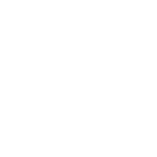 Les Valseurs